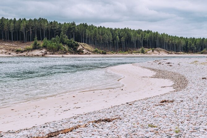 1 Day Moray Coast Tour with Speyside Whisky from Inverness - Wildlife at Troup Head, Spey Bay, or Aberlour