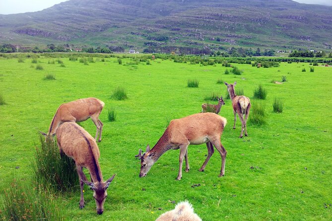 2 Days on the Loch Ness Canal of Caledonia and the Highlands - FAQ