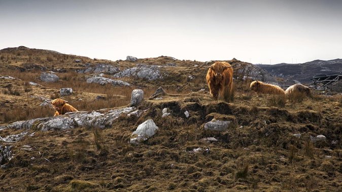 3-Day Hebrides Tour from Inverness: Isles of Lewis and Harris - Key points to know before booking
