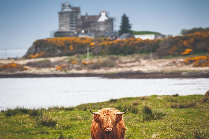 3-Day Isle of Mull and Iona Small-Group Tour from Glasgow - Staffa, puffins, and Fingal’s Cave