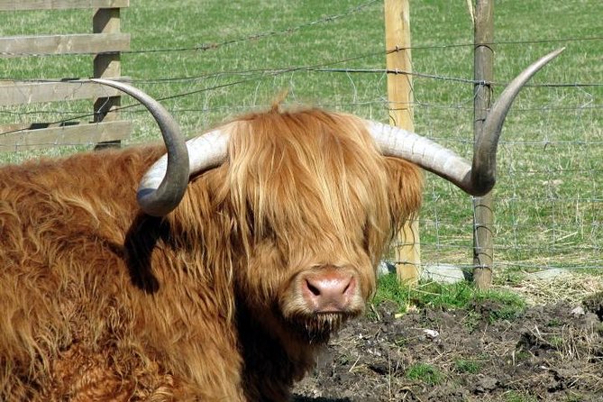3-Day Isle of Skye and Highlands Tour from Glasgow - Day two: the Isle of Skye’s famous sights
