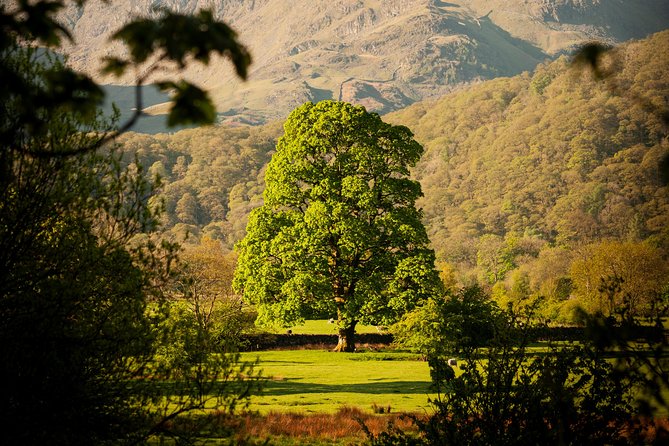 3-Day Lake District Explorer Small-Group Tour from Edinburgh - Is $622.54 good value?