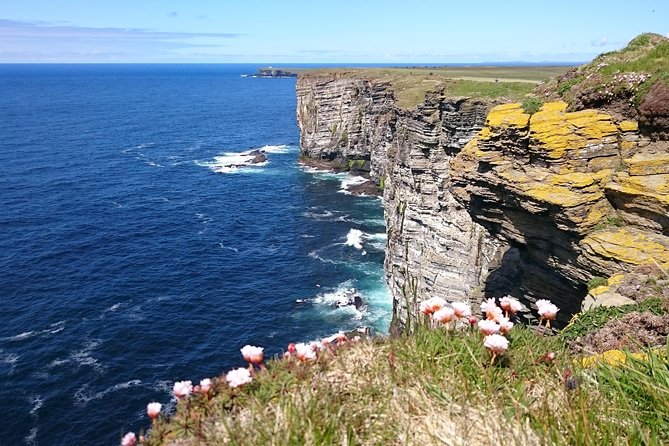 3-Day Orkney Islands Tour from Inverness - The guide can make or break the minibus days