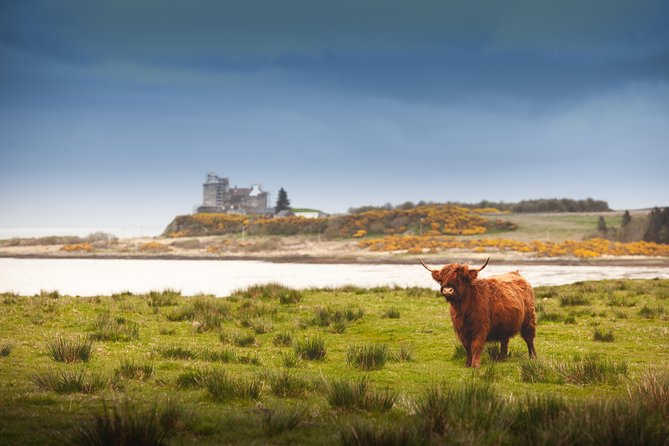 4-Day Magical Mull, Iona & West Highlands Small-Group Tour from Edinburgh - The mini-coach and small-group feel