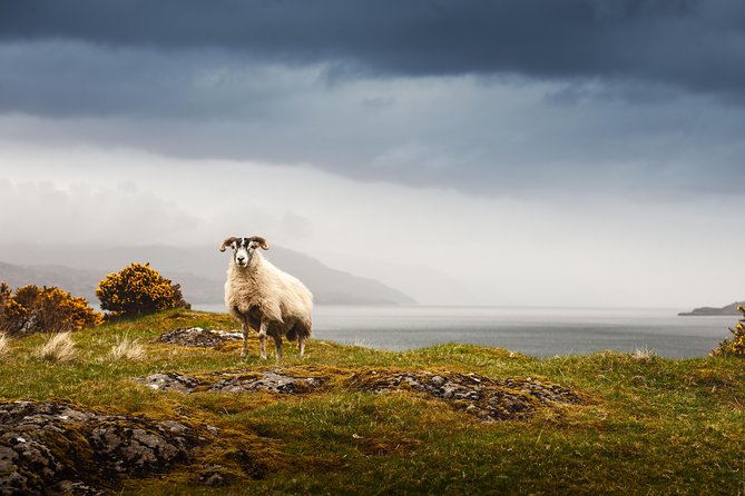 5-Day Iona, Mull and the Isle of Skye Small-Group Tour from Edinburgh - Mull and the sacred island of Iona