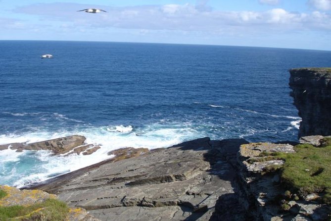 5-Day Orkney & Northern Coast Tour from Edinburgh Incl Admissions - Day 5: Culloden, Clava Cairns, and the road south