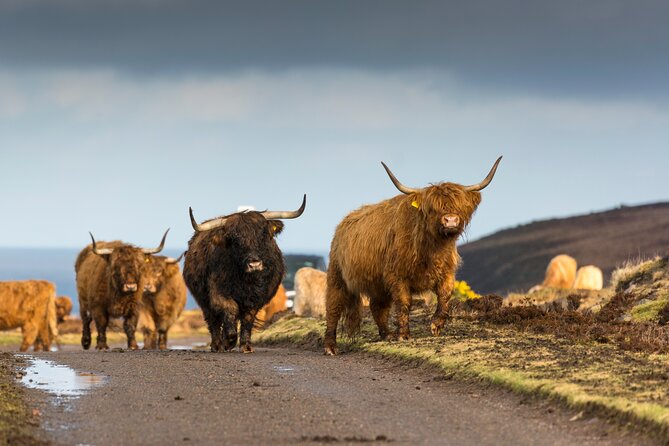 8 Day Isle of Skye, Orkney & North Coast 500 tour from Edinburgh - What this eight-day route really offers