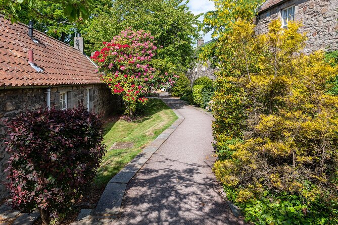 Aberdeen Historical Walking Tour - Who will get the most from this tour