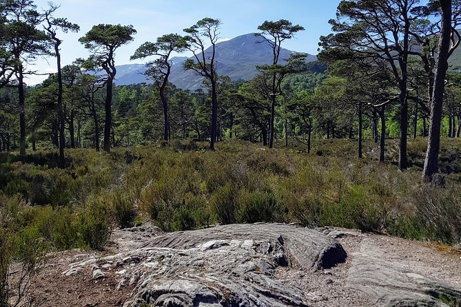 Alternative Loch Ness Tour by Secret Highlands - Why this Loch Ness day feels different