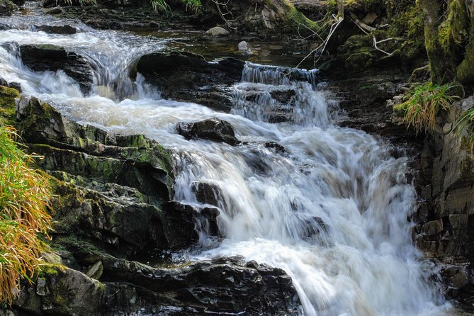 Alternative Loch Ness Tour by Secret Highlands - Glen Affric: the main event after Loch Ness