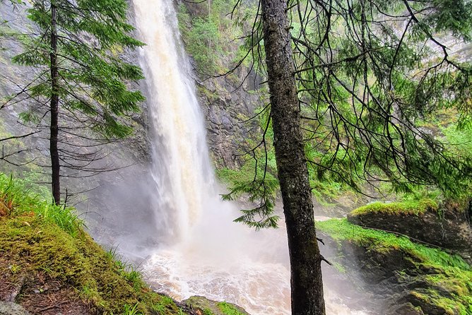 Alternative Loch Ness Tour by Secret Highlands - What the $376.86 price buys you