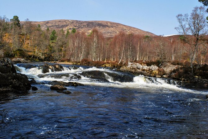 Alternative Loch Ness Tour by Secret Highlands - Who should book this Highland excursion