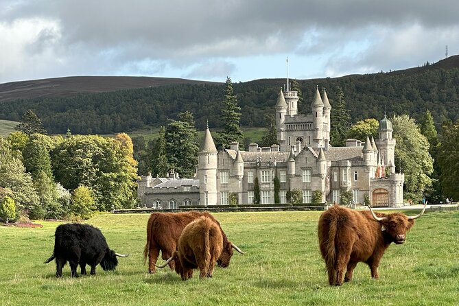 Balmoral & Royal Deeside Tour - Guides, stories, and the small-group difference