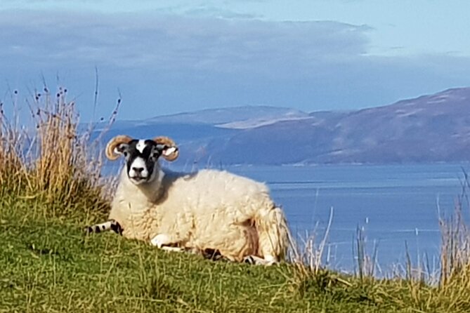 Bespoke Private Tours of Scotland and the Borders - Whisky, Distilleries, and Tasting Without Pressure