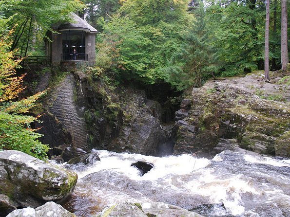 Best of Scotland in a Day Very Small Group Tour from Edinburgh - The Hermitage, tall trees, and a rushing waterfall