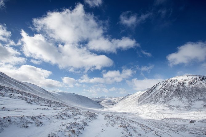 Cairngorms & Whisky Day Tour from Inverness Including Admission - How the timing affects the day
