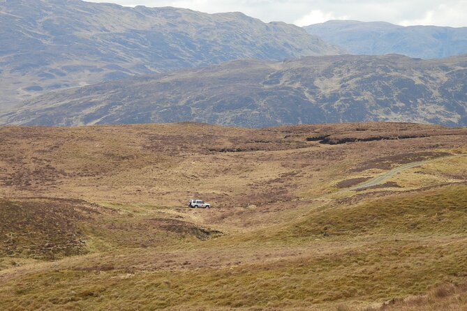 Discovery Wildlife Safari - Hot chocolate, shortbread, and a useful mid-safari pause