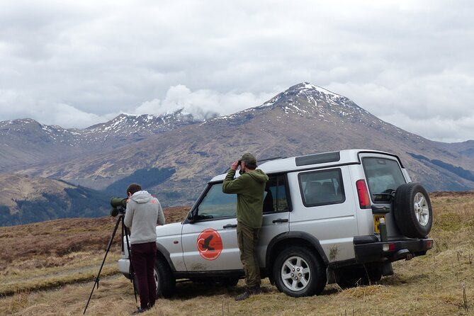 Discovery Wildlife Safari - Starting at Lochearnhead and heading into the park