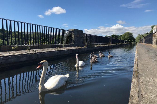 Edinburgh City Bike Tour - Choice of E-Bike or Manual - Returning along the Water of Leith
