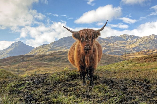Edinburgh: Loch Lomond, Stirling Castle and the Kelpies Day Tour - Loch Lomond at Balloch