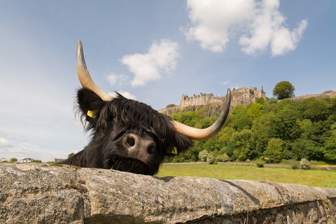 Edinburgh: Loch Lomond, Stirling Castle and the Kelpies Day Tour - Through the Trossachs and into Aberfoyle