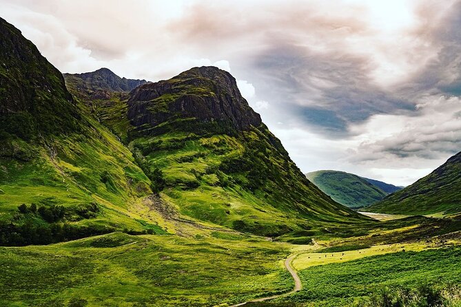 Edinburgh: Loch Ness, Glencoe & The Highlands - Callander begins the day with coffee and Highland cows
