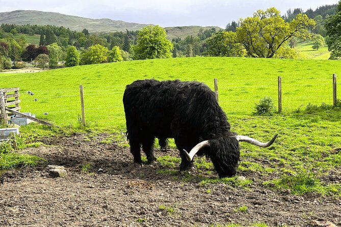 Edinburgh: Loch Ness, Glencoe & The Highlands - Glencoe brings history and the Three Sisters