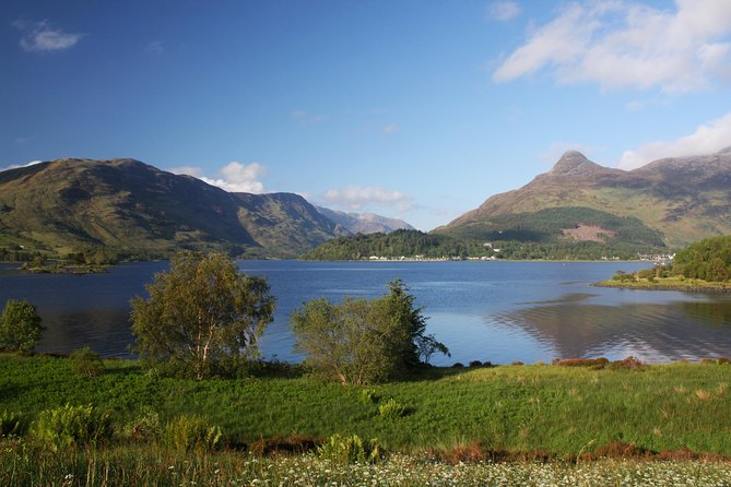 Edinburgh: The Ultimate Whisky Experience Tour - What the whisky tastings are really worth