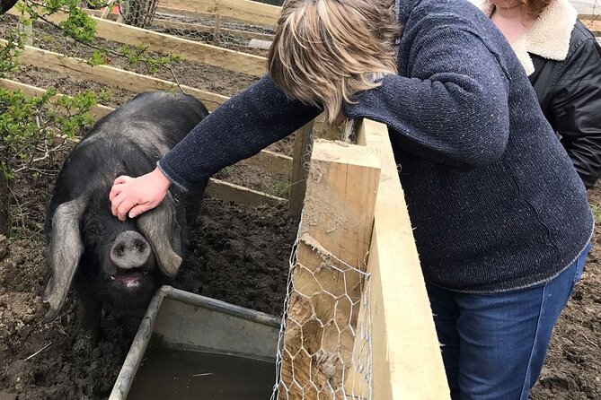 Errichel Farm Tour - Meeting Becky and learning how the farm works