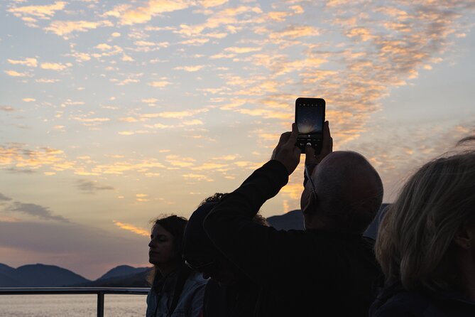 Fort William Evening Cruise - Wildlife is a bonus, not the main event