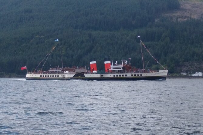 Full Day Private Hire - Wildlife watching on the Clyde