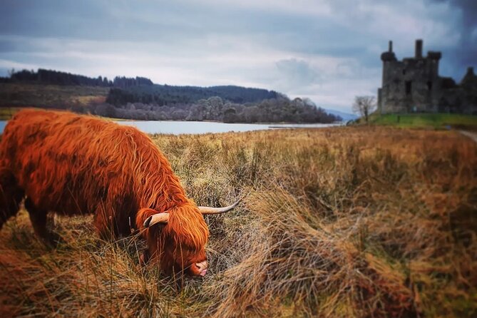 Full Day Private Tour in West Highlands, Oban and Glencoe - Loch Lubnaig: an easy first taste of the Highlands