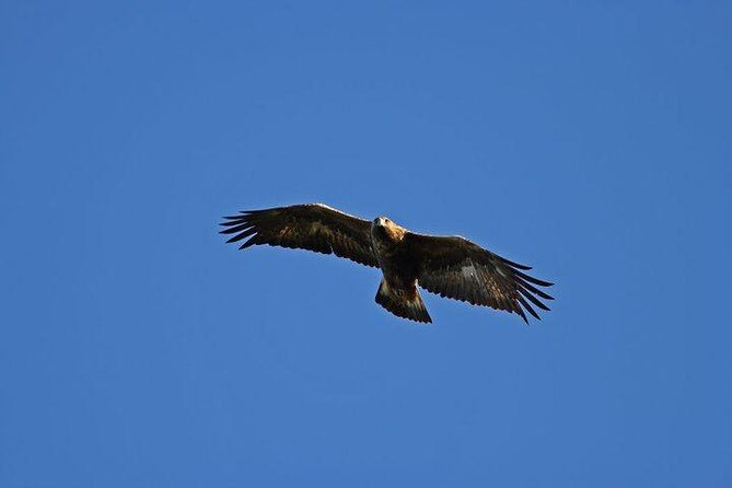 Glenaladale Cruise - Great for wizard spotting! - Setting out from Glenfinnan Pier at 10:40 a.m.
