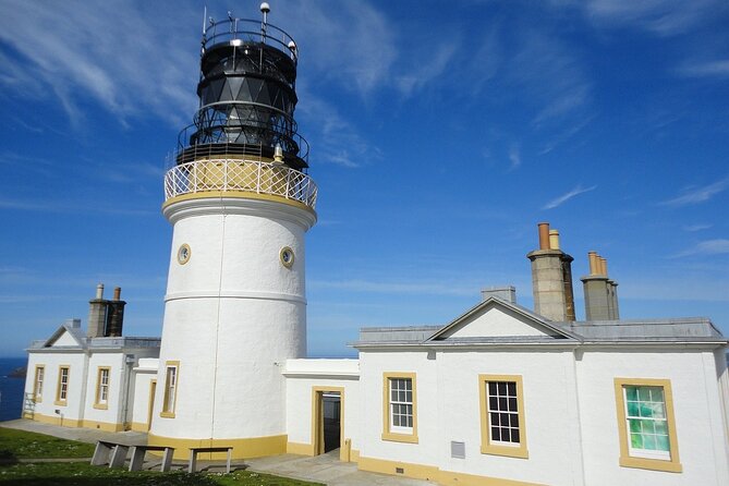 Half Day Private Tour with Puffins, Ponies and Past Shetland - The five details that make this tour special