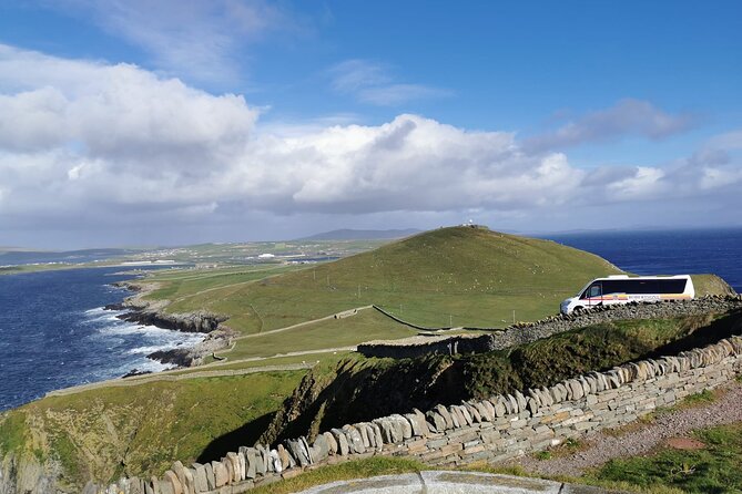 Half Day Private Tour with Puffins, Ponies and Past Shetland - Why the private format works in Shetland