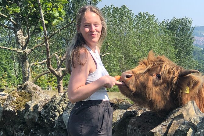 Highland Cows, Walk Alpacas & Scottish Wildlife Centre from Edin. - Food, timing, and what to bring