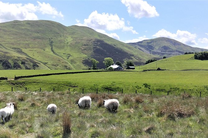 Hill & Nature Hike - Discover Real Edinburgh With a Local Expert - The descent, woodland, and return to the city