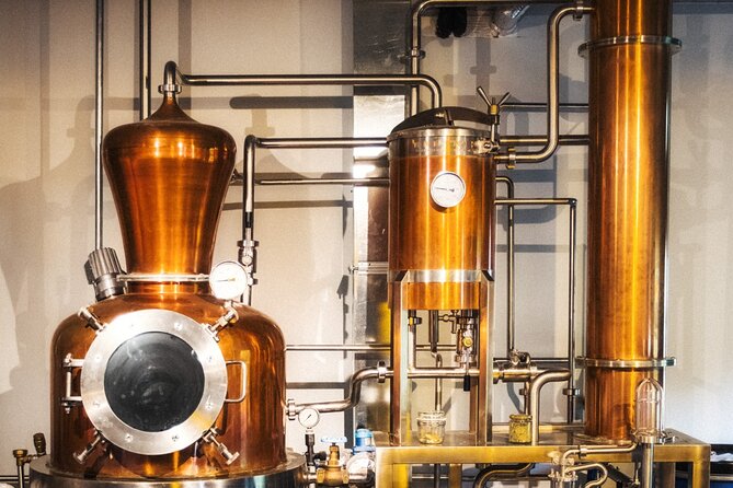 Holyrood Distillery Gin Tasting Experience - Four Holyrood gins, tasted side by side