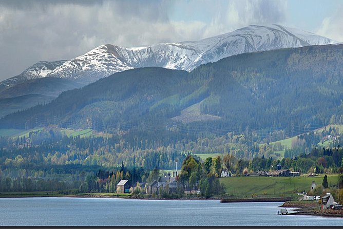 Invergordon Port Loch Ness Tour - Highland cows and gifts at Robertson’s Farm Shop