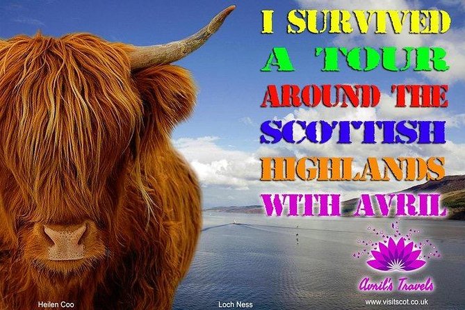 Invergordon Port PRIVATE TOUR 16 passengers MAXIMUM - The south route: Cawdor, Clava Cairns, and Culloden