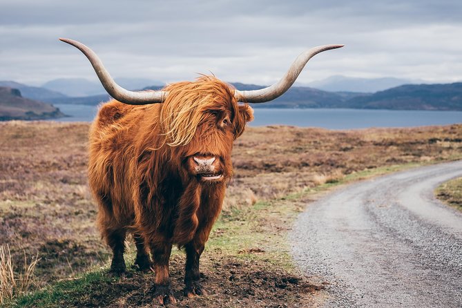 Inverness: Applecross, Loch Carron & the Wild Highlands - Bealach na Ba, the road everyone remembers