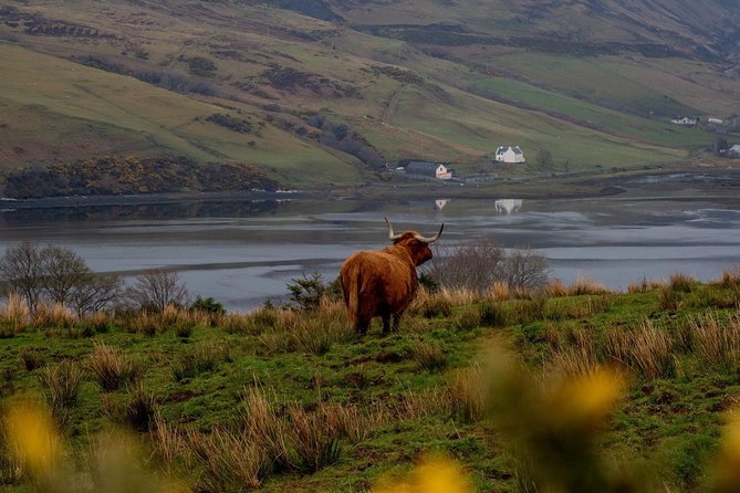 Isle of Skye and the Fairy Pools Tour - Loch Ness gives the morning a proper Highland start