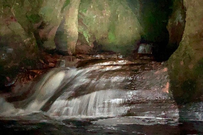 Join the Dark Side of Magical Nature - Why the Devil’s Pulpit feels different at night