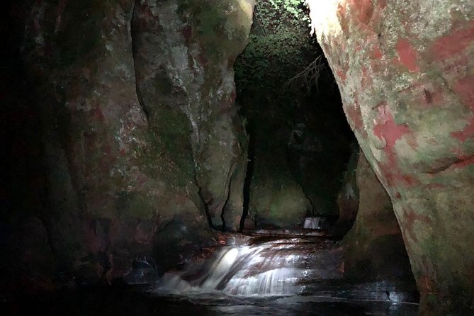 Join the Dark Side of Magical Nature - Is three hours enough?