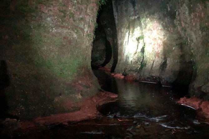 Join the Dark Side of Magical Nature - Who should book this experience?
