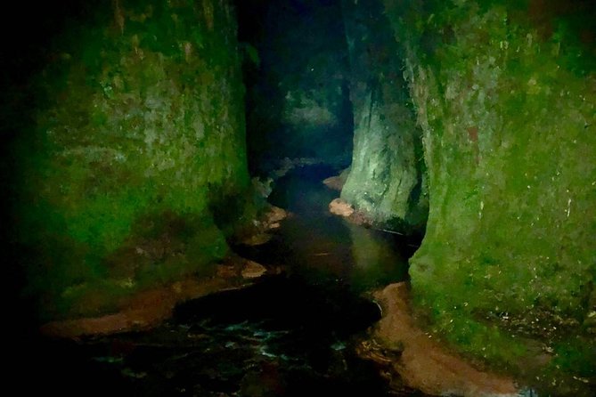 Join the Dark Side of Magical Nature - Leaving Glasgow at 9:00 pm