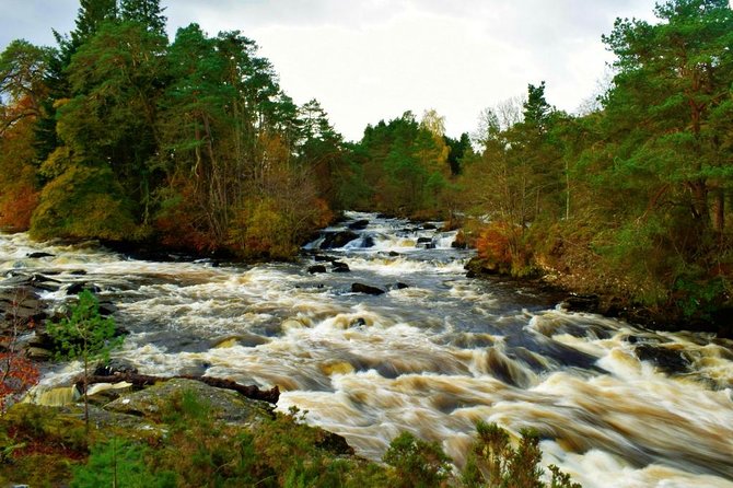 Loch Lomond & The Highlands Private Day Tour with Scottish Local - What the driver adds to the day