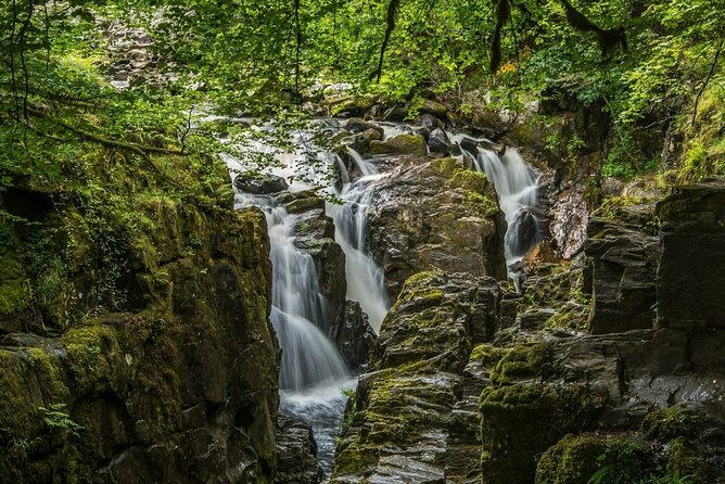 Loch Ness Cruise, Scenic Walk, Whisky & Glencoe Tour - Edinburgh - The Hermitage woodland walk and waterfalls
