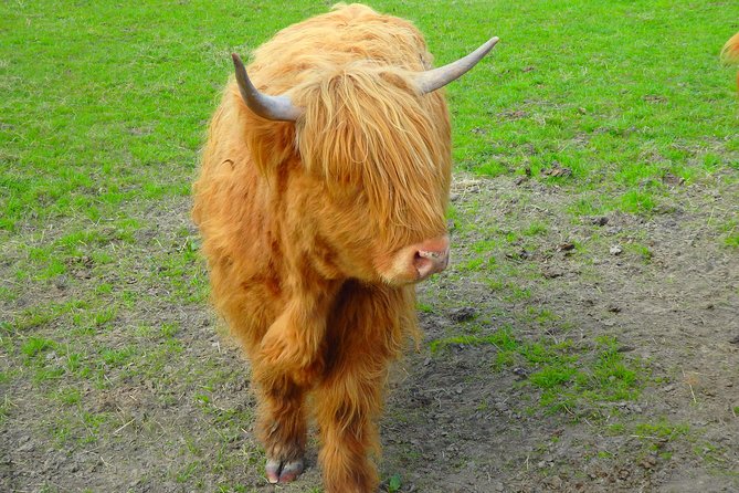 Loch Ness & Culloden Battlefield Private Tour from Inverness - Clava Cairns and the Outlander connection