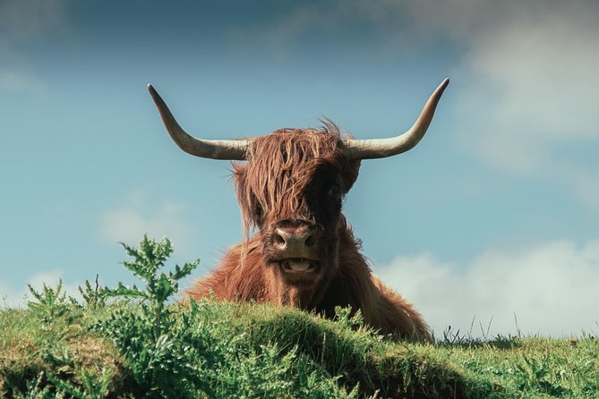 Loch Ness, Glen Coe & The Highlands Day Tour from Edinburgh - What the guide adds to the price